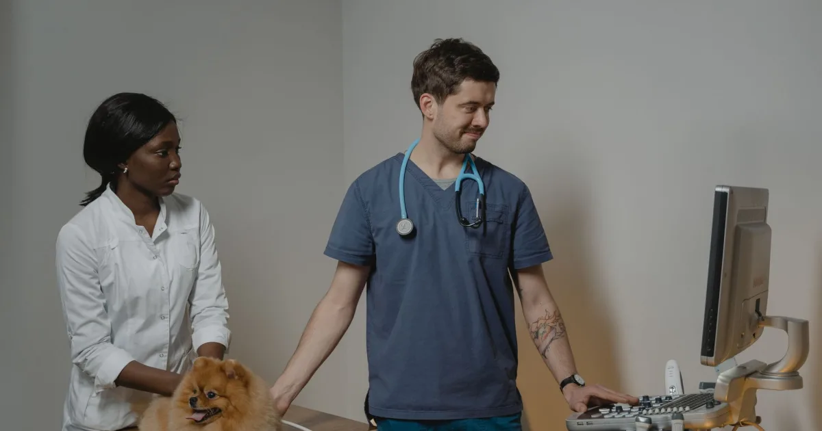 A concerned pet owner in a veterinary clinic with her Spaniel, reviewing vaccination records.