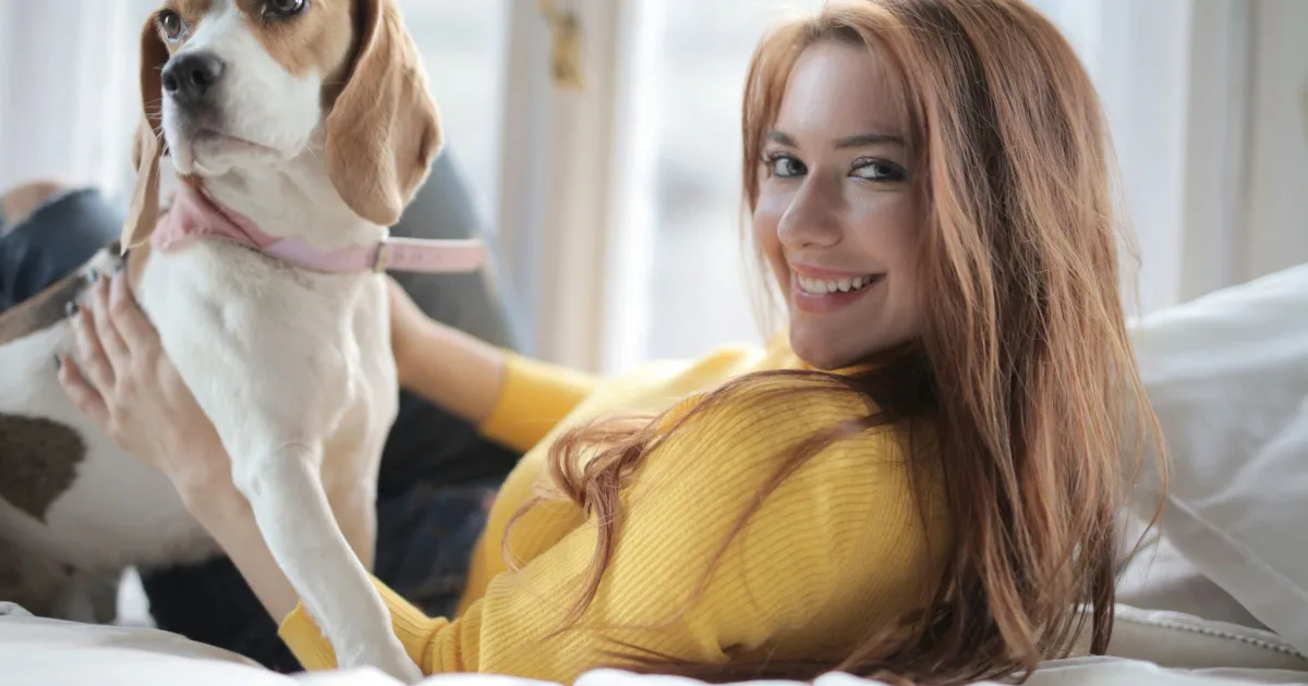 Evan, an acoustic guitar teacher, gently weighs Milo, a Beagle, on a digital scale, building their health routine.