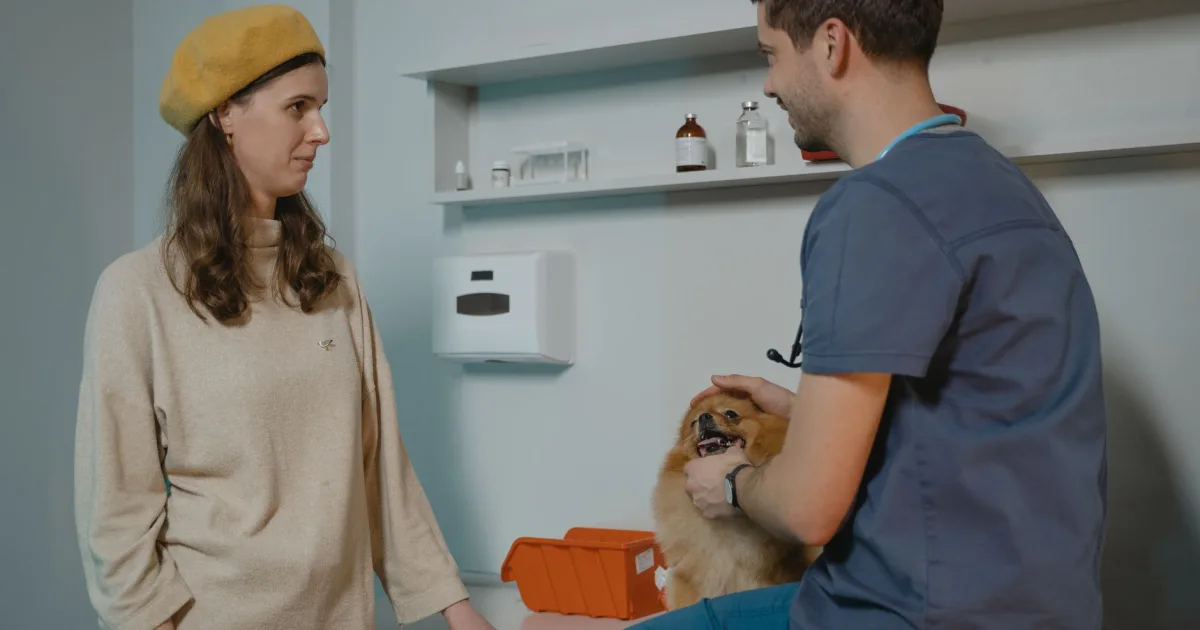 A concerned pet owner holding a Poodle in a downtown Chicago veterinary clinic waiting room.